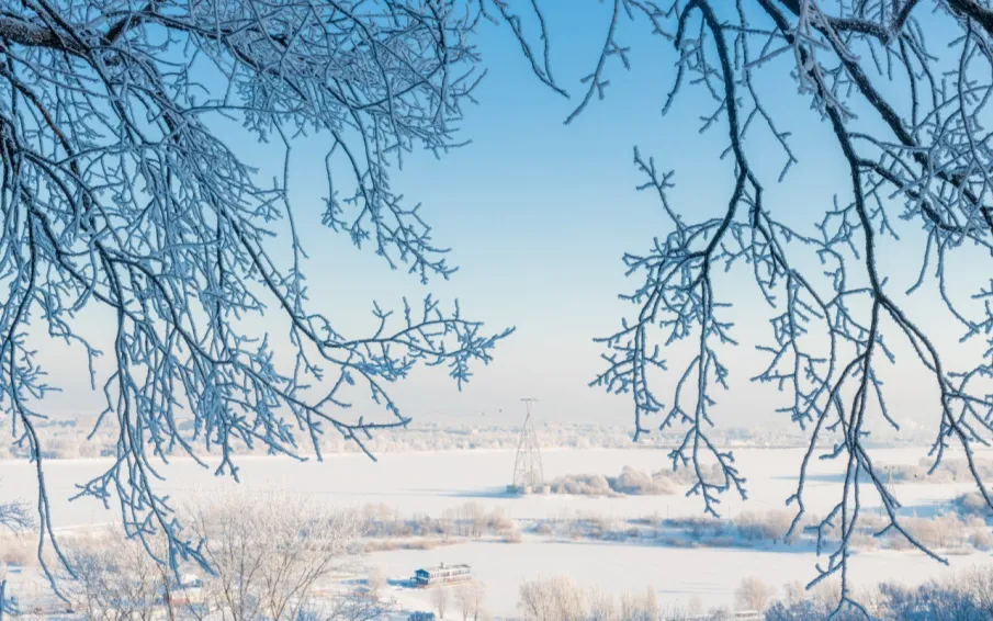 Более 2 миллионов пассажиров перевезла Нижегородская канатная дорога после масштабной модернизации